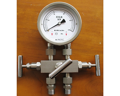 滁州差压表带三阀组